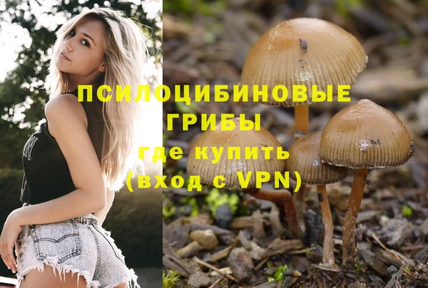 MDMA Premium VHQ Михайловск