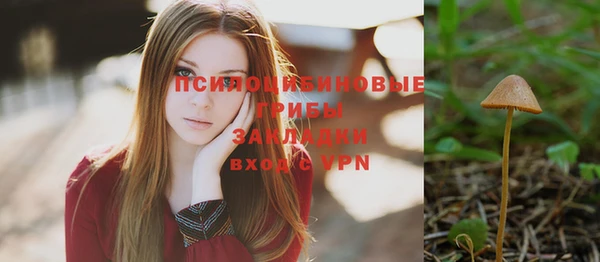2c-b Михайлов