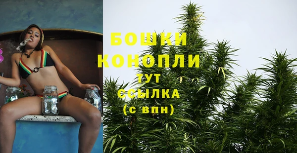 2c-b Михайлов