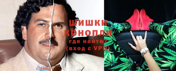 СК Мегион